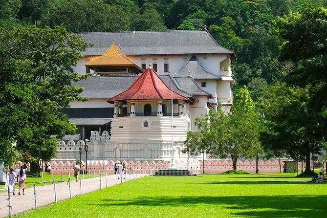 Kandy Day Tour From Colombo - References