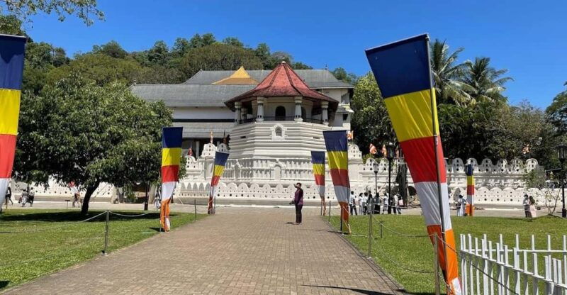 kandy-pinnawala-tea-factory-full-day-tour-from-negombo