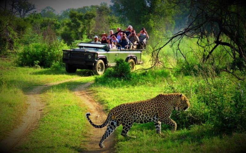kathmandu-4-day-private-chitwan-national-park-safari-tour