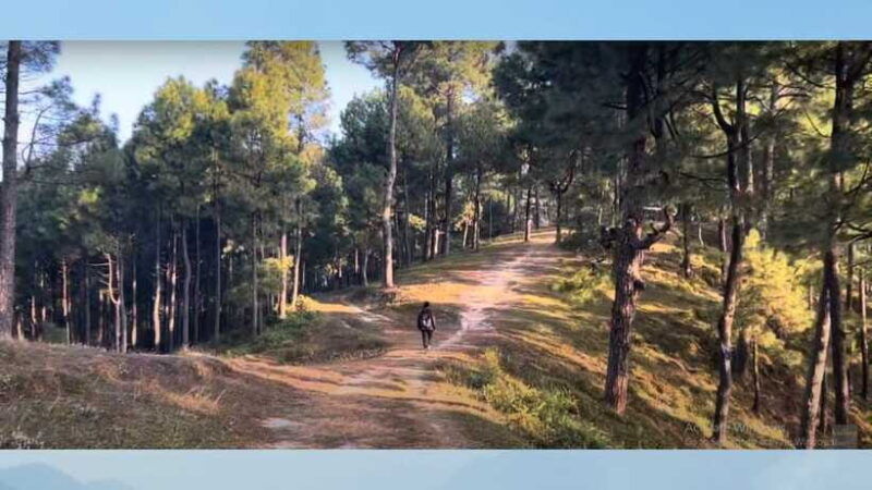 kathmandu-fresh-air-hiking-at-kapan-jagdol-nagi-gumba