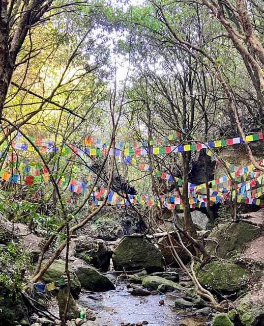 kathmandu-shivapuri-national-park-top-day-hike-with-lunch