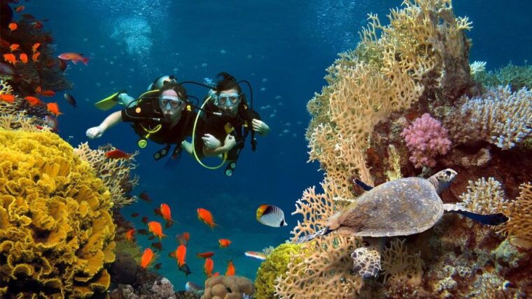 kefalonia-beginner-scuba-diving-at-agia-efimia-village