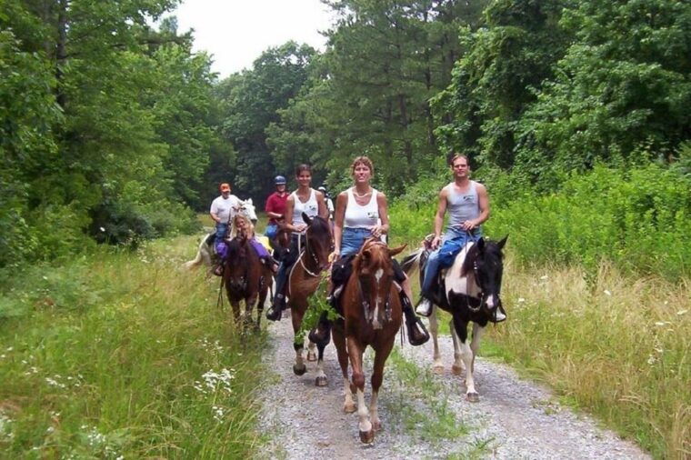kemer-horse-safari-pick-up-from-kiris-beldibi-goynuk