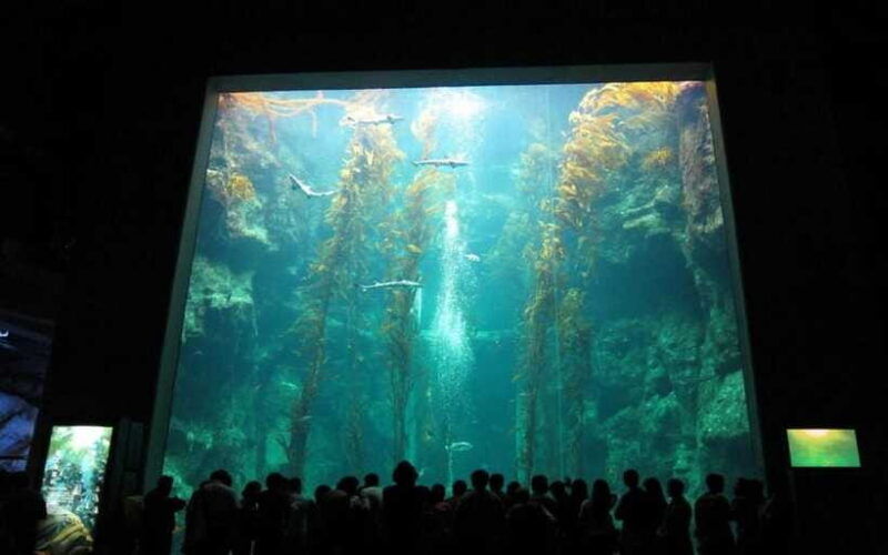 kenting-national-museum-of-marine-biology-aquarium