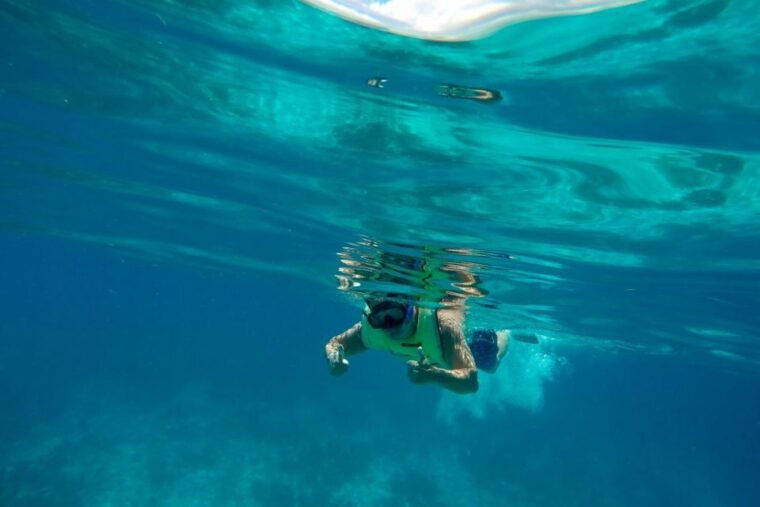 key-west-dolphin-snorkel-boat-tour-with-sunset-option