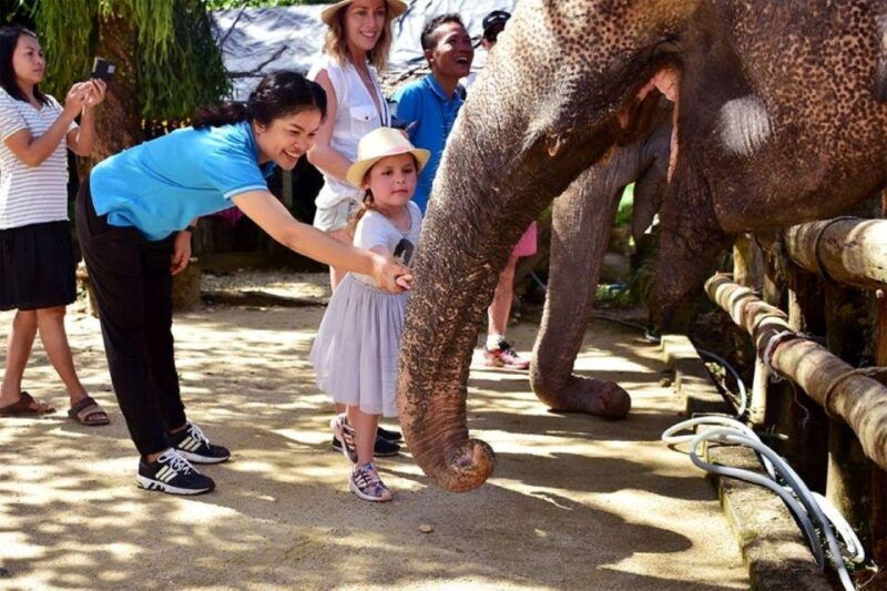 khao-lak-elephant-sanctuary-guided-tour