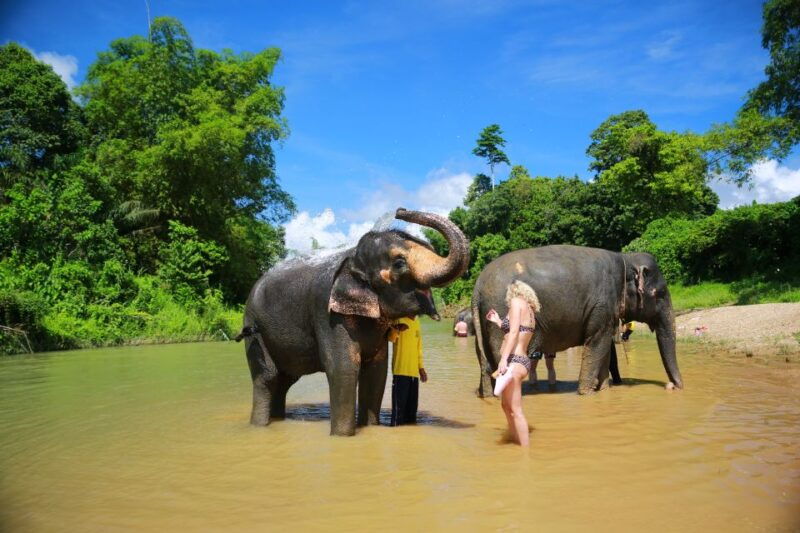 khao-lak-khao-sok-national-park-overnight-treehouse-trip