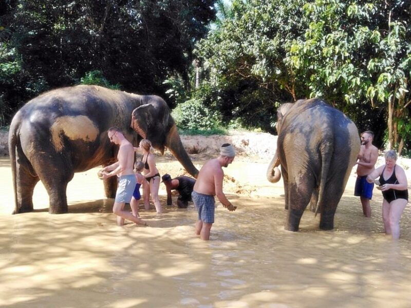 khao-lak-khao-sok-private-elephant-daycare-bamboo-rafting