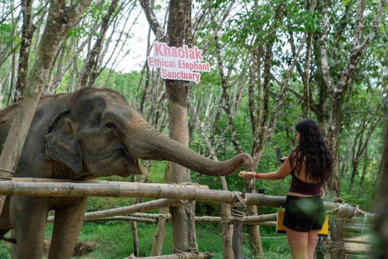 khao-lak-multi-adventure-bamboo-rafting-atv-elephants