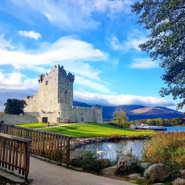 killarney-1-hour-jaunting-car-horse-and-carriage-tour
