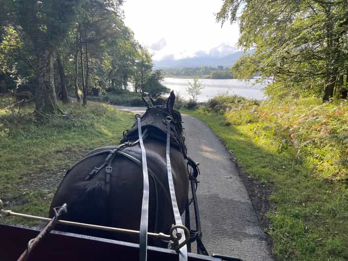 killarney-national-park-jaunting-car-tour