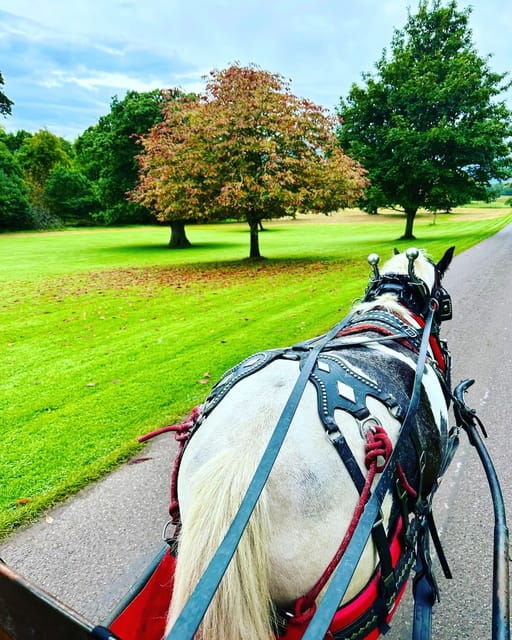 killarney-national-park-tour-2