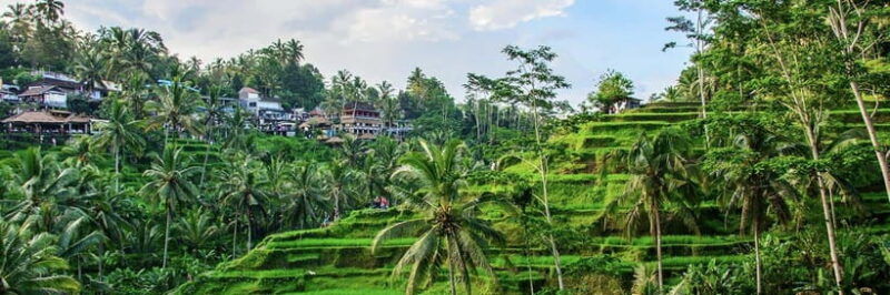 kintamani-sunrise-jeep-tour-hot-spring-and-rice-terrace