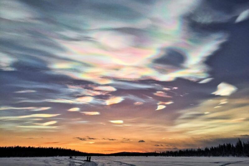 kiruna-morning-husky-sled-ride-with-coffee-break