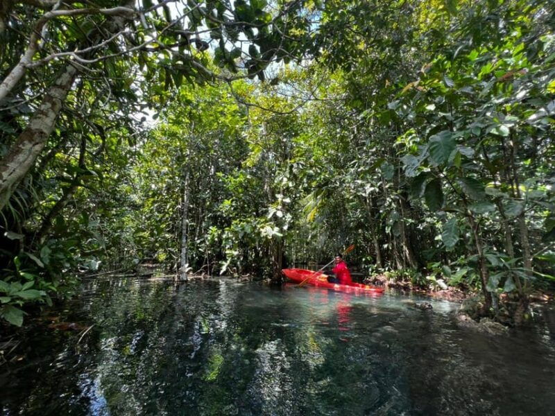 klong-rud-kayaking-with-hotel-transfer