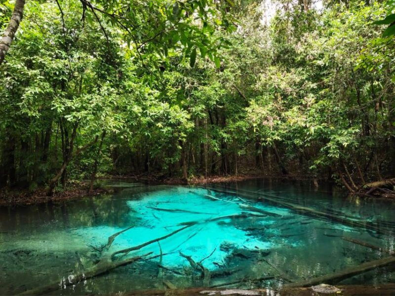 ko-lanta-full-day-emerald-poolhot-spring-with-tiger-temple