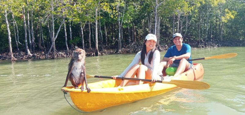 ko-lanta-half-day-mangrove-eco-kayak-experience-with-lunch