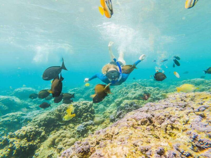 ko-lanta-snorkeling-adventure-tour-to-koh-rok-and-koh-haa