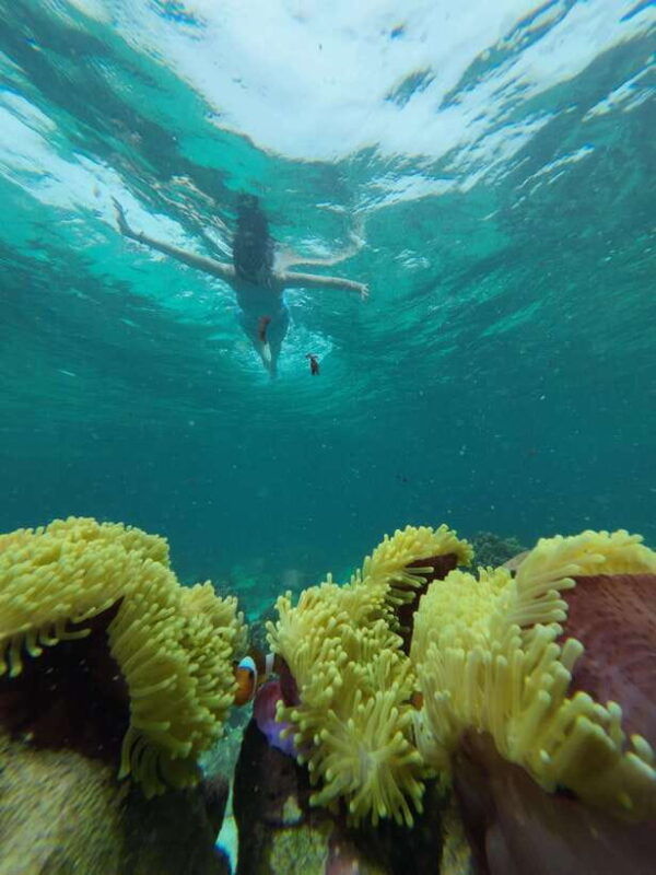 koh-lipe-half-day-snorkelling-trip-to-4-islands-5-points