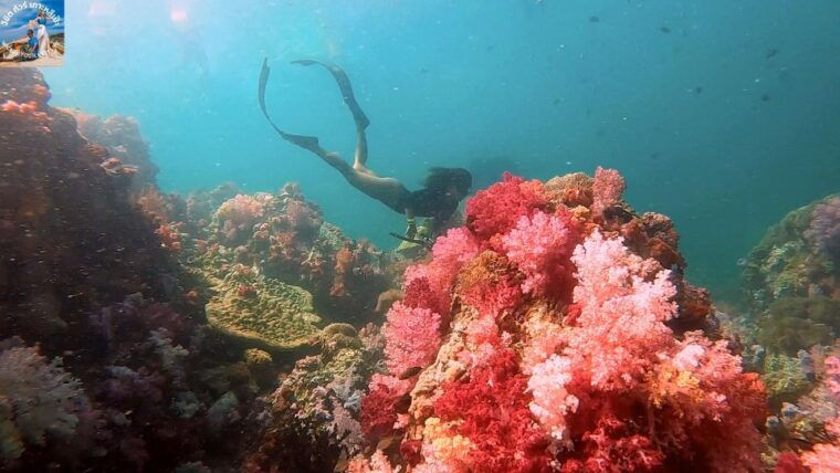 koh-lipe-outer-islands-snorkeling-trip-by-longtail-boat