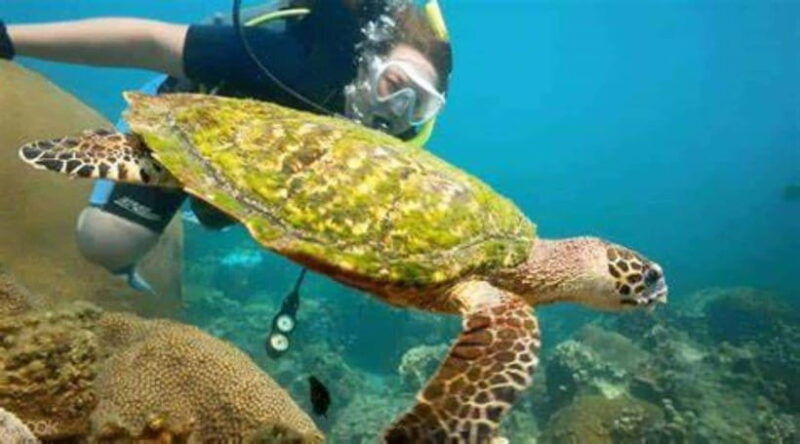 koh-phangan-angthong-national-park-speedboat-tour