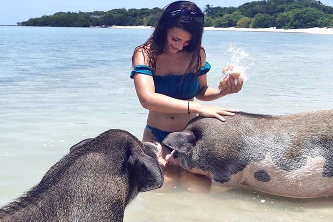 kohsamui.tours - Pig Island Snorkeling Eco Tour by Speed Boat - Who Should Consider This Tour?