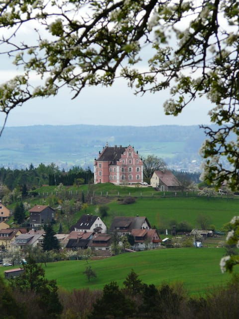 konstanz-express-walk-with-a-local-in-60-minutes