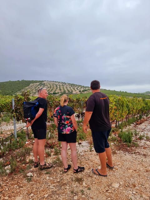 korcula-buggy-tour-including-our-local-food-and-wine-tasting