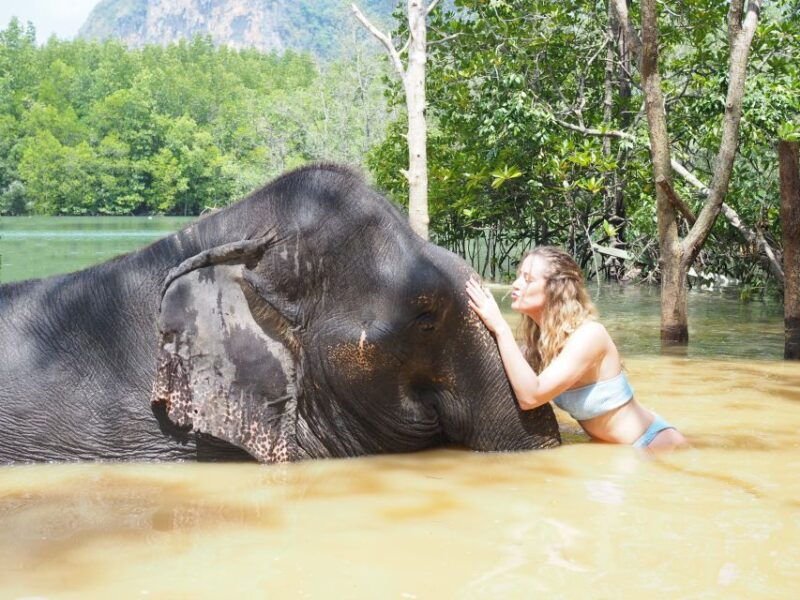 krabi-elephant-bathing-session-at-krabi-elephant-shelter