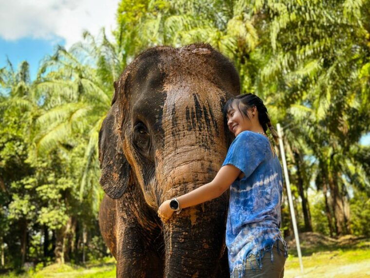 krabi-kayaking-at-klong-nam-sai-elephant-bathing-feeding