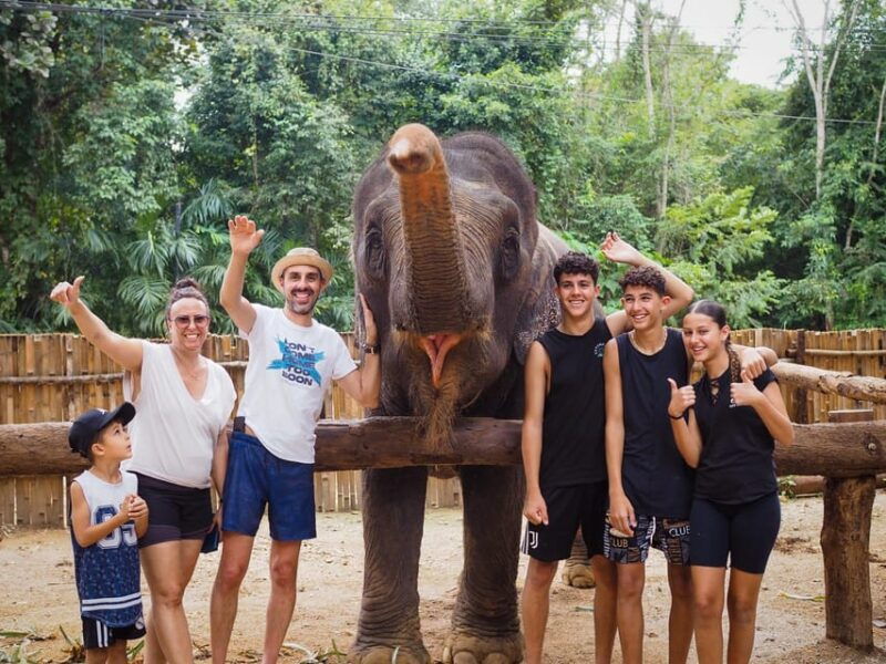 krabi-mangrove-kayak-elephant-shelter-with-private-transfer