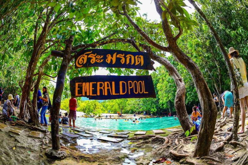 krabi-tiger-cave-temple-emerald-pool-and-hot-springs-tour-3