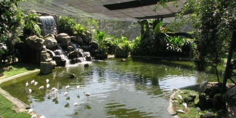 kuala-lumpur-bird-park-butterfly-garden-private-tour