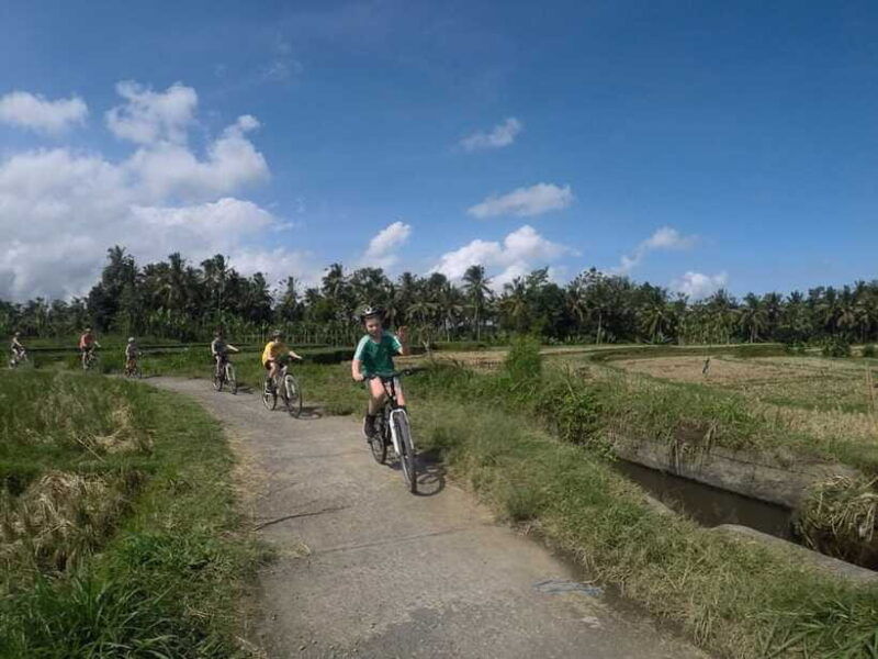 kuta-kintamani-culture-and-nature-guided-cycling-tour