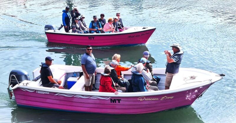 lagos-algarve-grotto-trip-boat-trip-late-afternoon