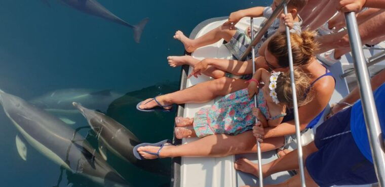 lagos-dolphin-watching-catamaran-cruise