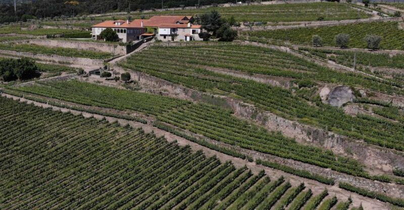 lamego-quinta-da-portela-de-baixo-winery-tour-and-tasting
