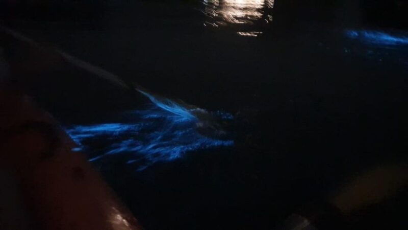 lan-ha-bay-sunset-plankton-bioluminescent-night-kayaking
