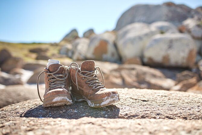 larapuna / Bay of Fires Hiking Tour - 4 Days - Frequently Asked Questions