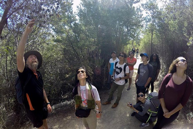 Launceston to Hobart via Wineglass Bay - Active one-way Day Tour - Practical Details and Considerations