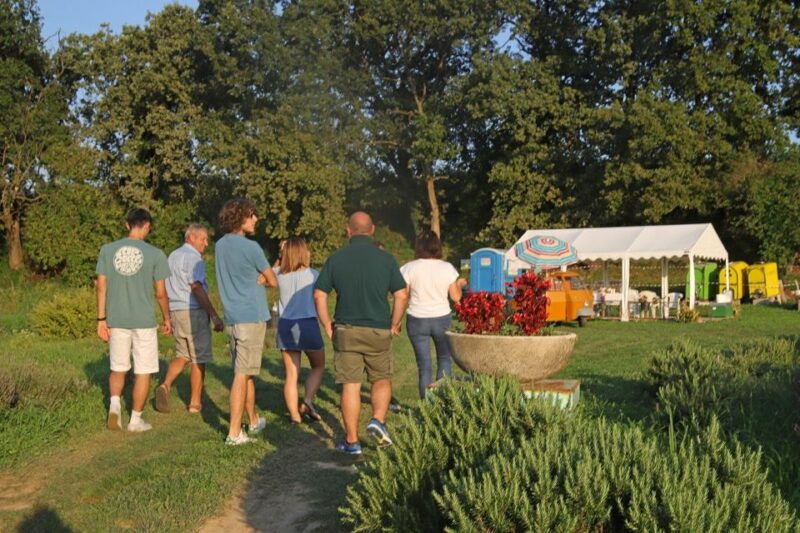 lazise-horse-carriage-tour-with-tasting-of-local-products