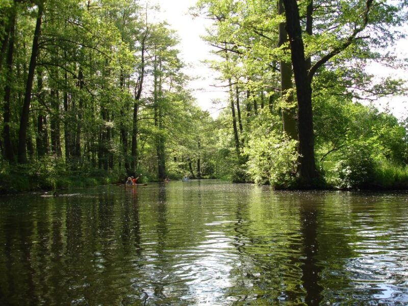 leipzig-riverside-forest-tour-on-the-pleise
