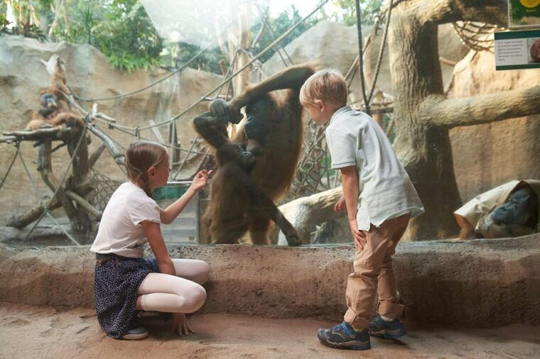 leipzig-zoo-entry-ticket