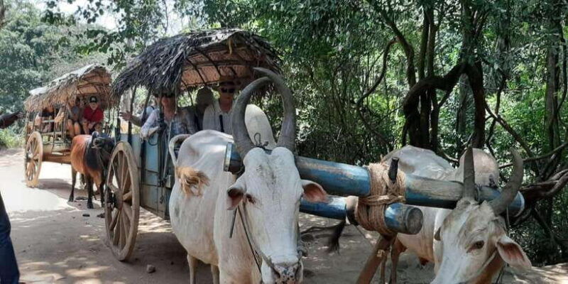 lesley-tuktuk-safari