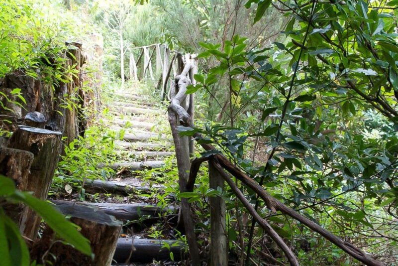 levada-walk-and-caldeirao-verde-waterfalls-madeira
