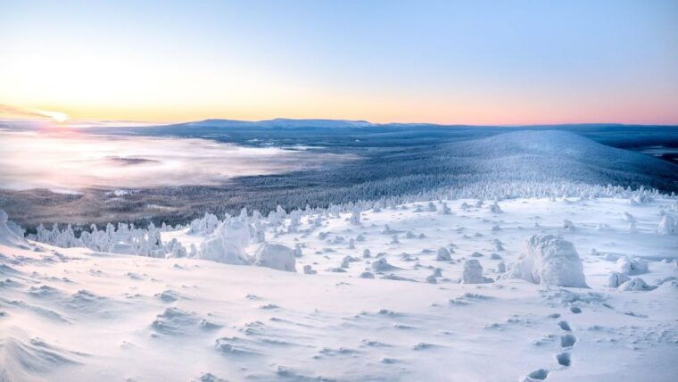 levi-4-hour-snowmobile-safari-to-the-fells-in-levi
