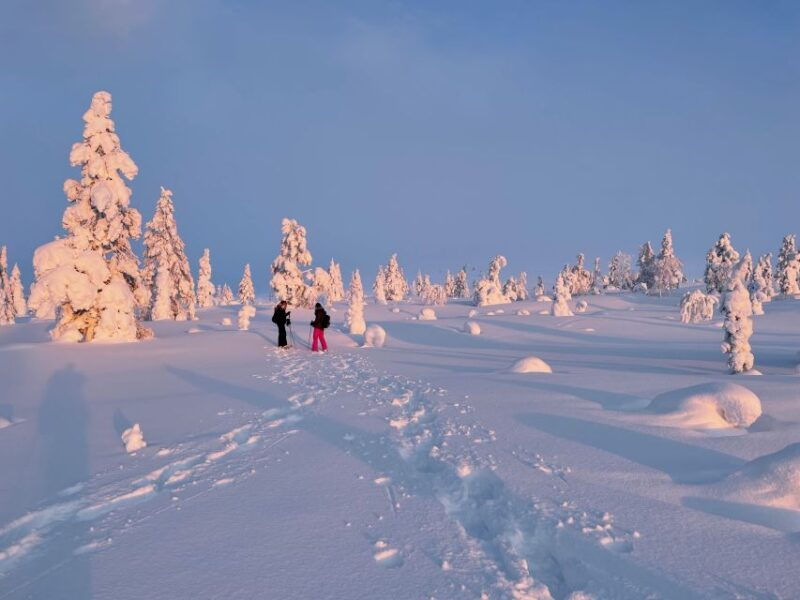 levi-pallas-yllastunturi-national-park-snowshoeing-tour