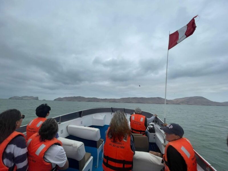 lima-palomino-islands-speedboat-tour-swim-with-sea-lions