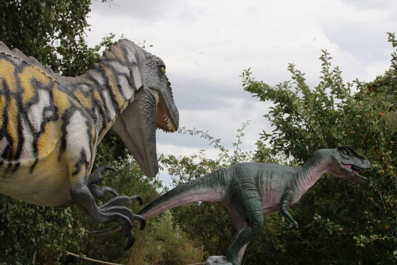 lincolnshire-ark-wildlife-and-dinosaur-park-entry-ticket