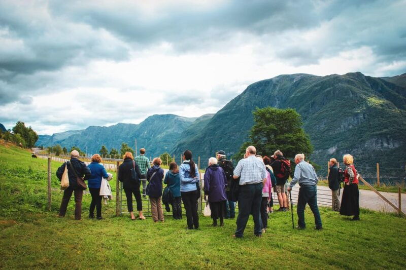 ljoen-hellesylt-ljoen-farm-tour